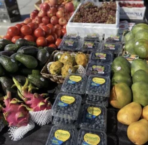 74711 Dillon Road Desert Hot Springs, CA 92241 - Photo 36 of 38 IMG_2597