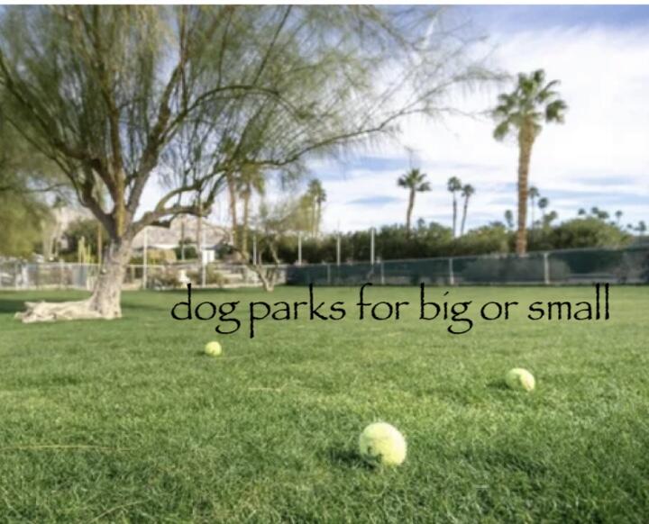 74711 Dillon Road Desert Hot Springs, CA 92241 - Photo 37 of 38 IMG_2601