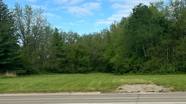 a view of a yard