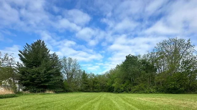 a view of field with trees in the background