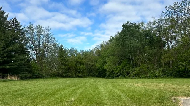 a view of a green field with trees in the background