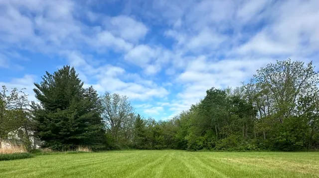 a view of grassy field with trees