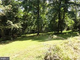 140 Parnassus Road Linden, VA 22642 - Photo 3 of 10 Exterior (General)