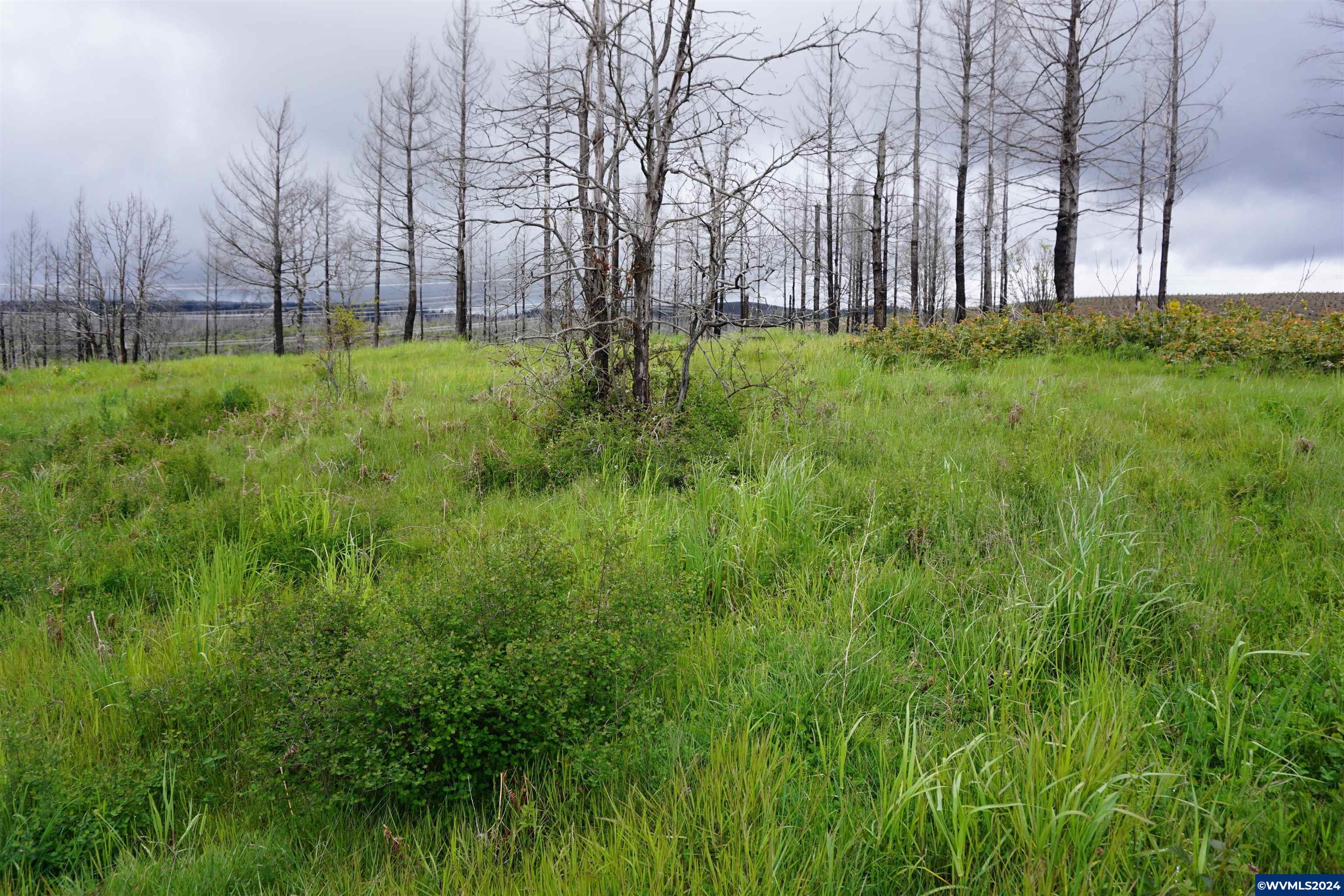 900 Wagner Road Lyons, OR 97358 - Photo 26 of 30