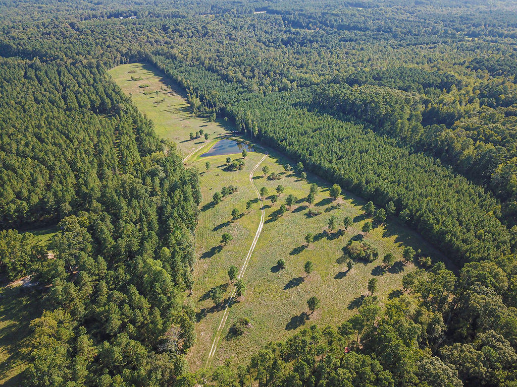 Tbd Farm Life School Road Carthage, NC 28327 - Photo 1 of 12 27+ acres off Farm Life School Rd
