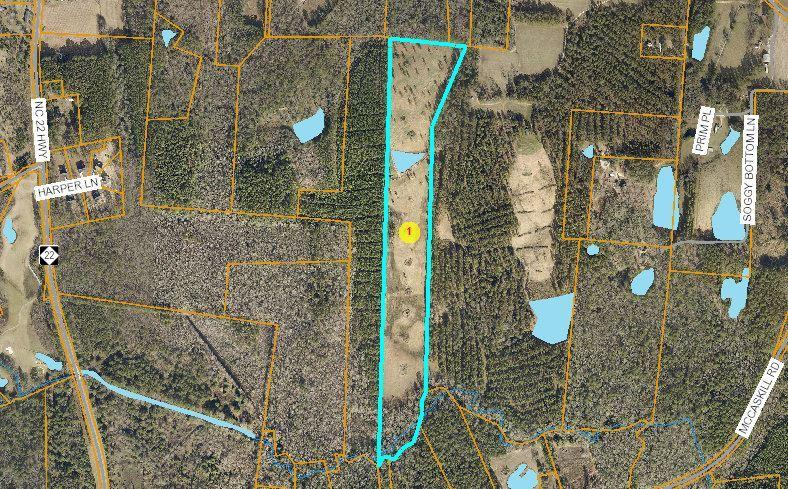 Tbd Farm Life School Road Carthage, NC 28327 - Photo 12 of 12 00040547 Aerial View