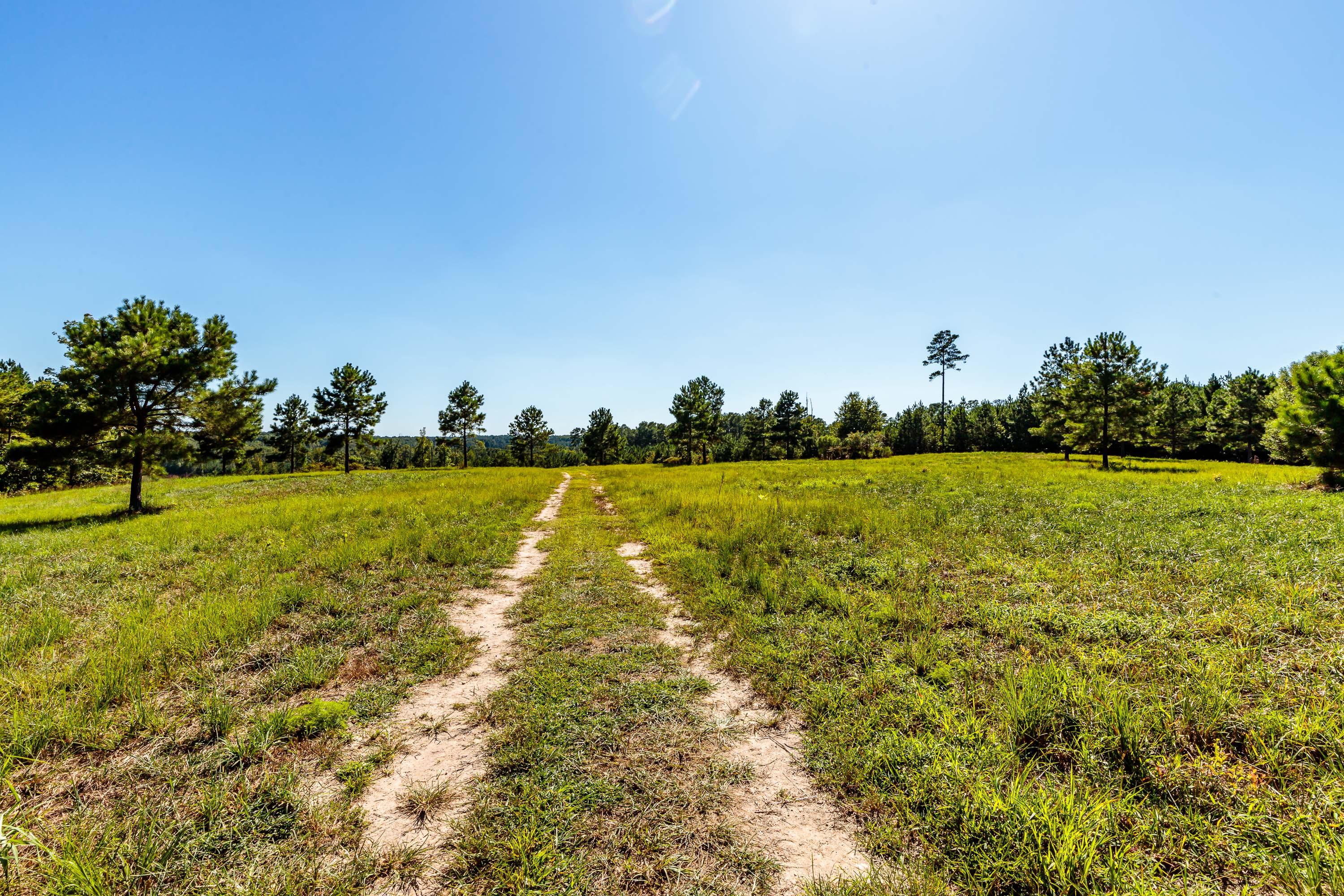 Tbd Farm Life School Road Carthage, NC 28327 - Photo 3 of 12 2777FLM-35