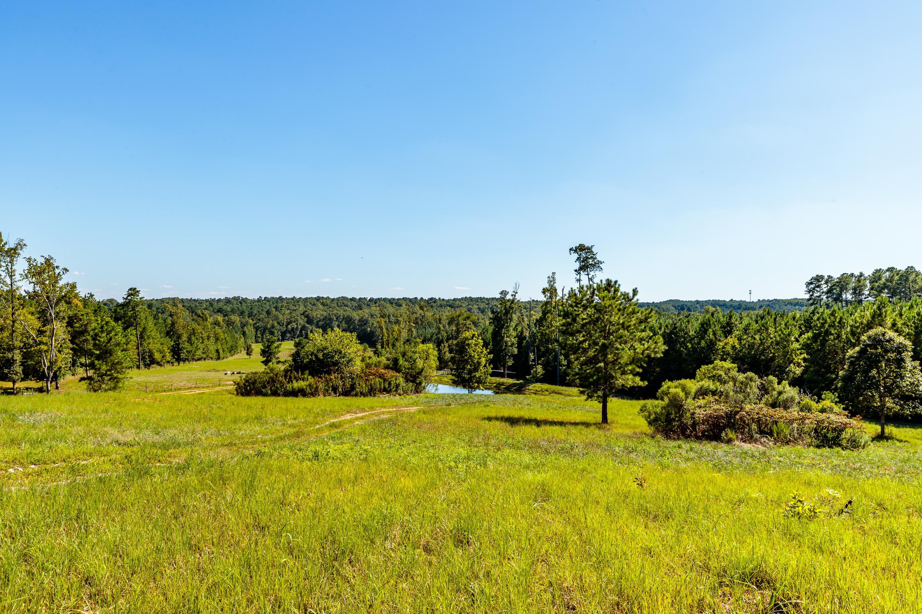 Tbd Farm Life School Road Carthage, NC 28327 - Photo 4 of 12 2777FLM-36
