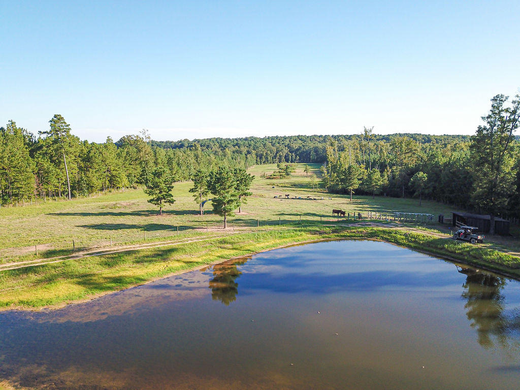 Tbd Farm Life School Road Carthage, NC 28327 - Photo 9 of 12 DJI_0054