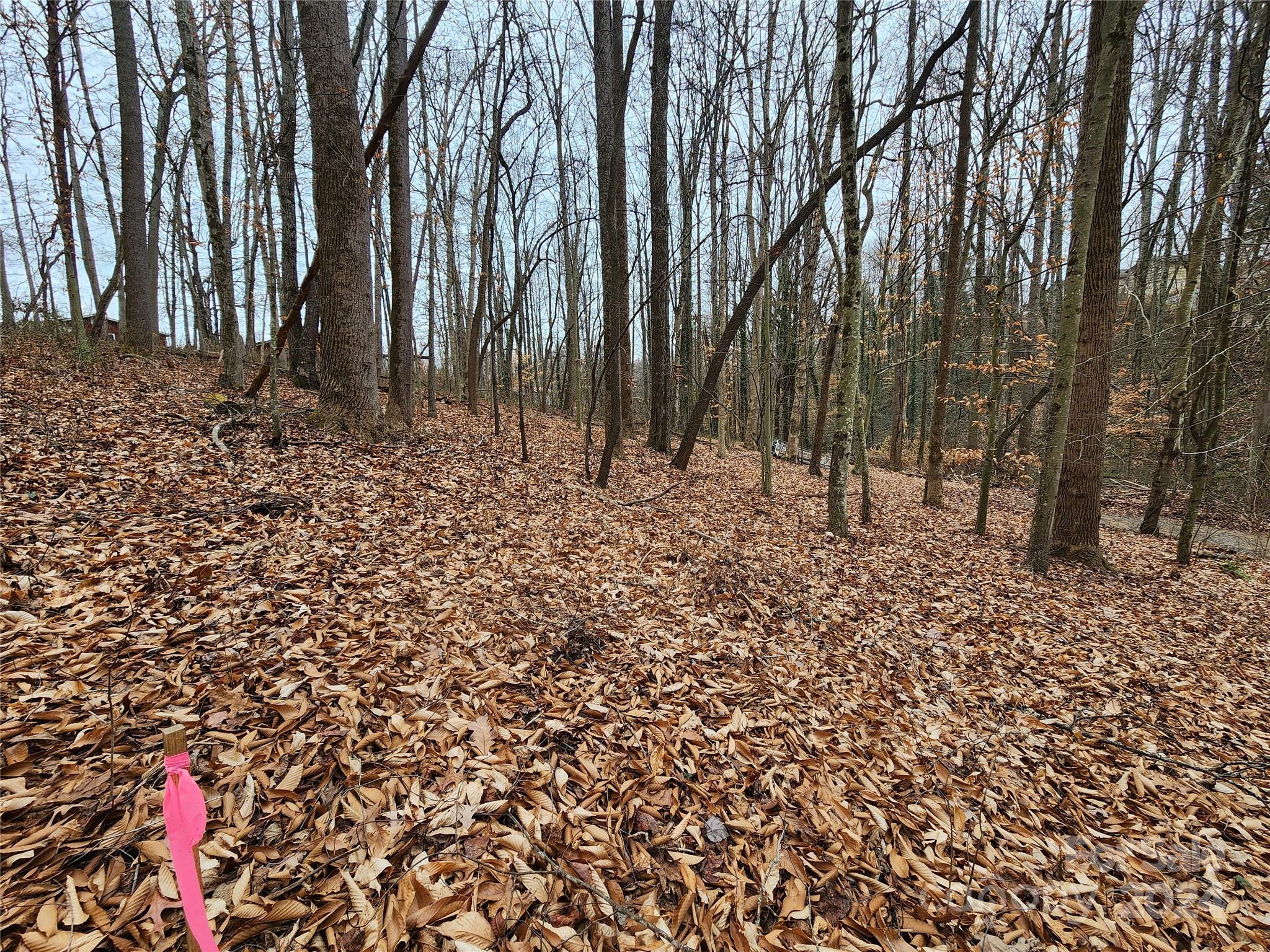 Tbd Grassy View Road Candler, NC 28715 - Photo 1 of 12 Gallery Image 1