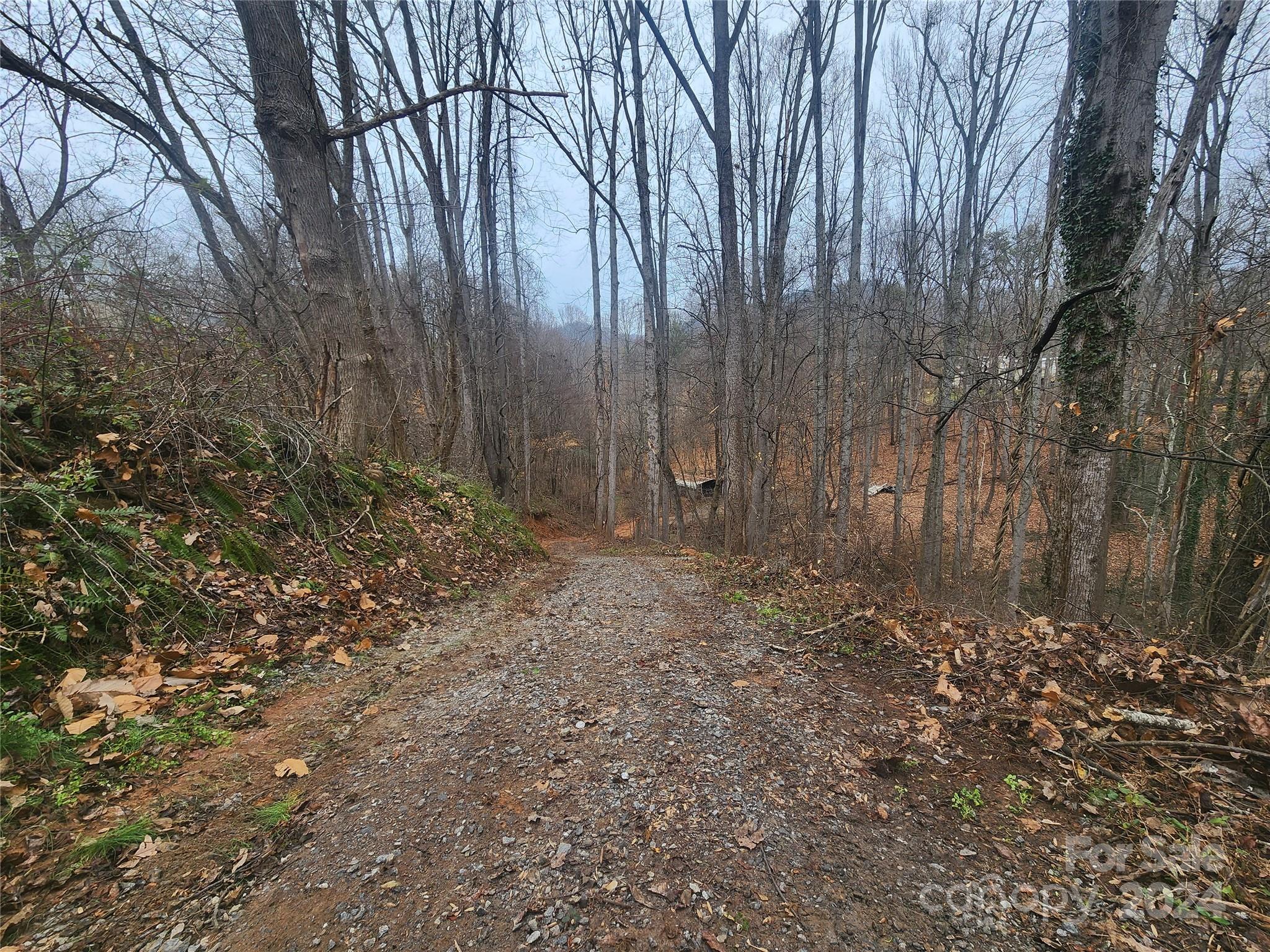 Tbd Grassy View Road Candler, NC 28715 - Photo 12 of 12 Gallery Image 12