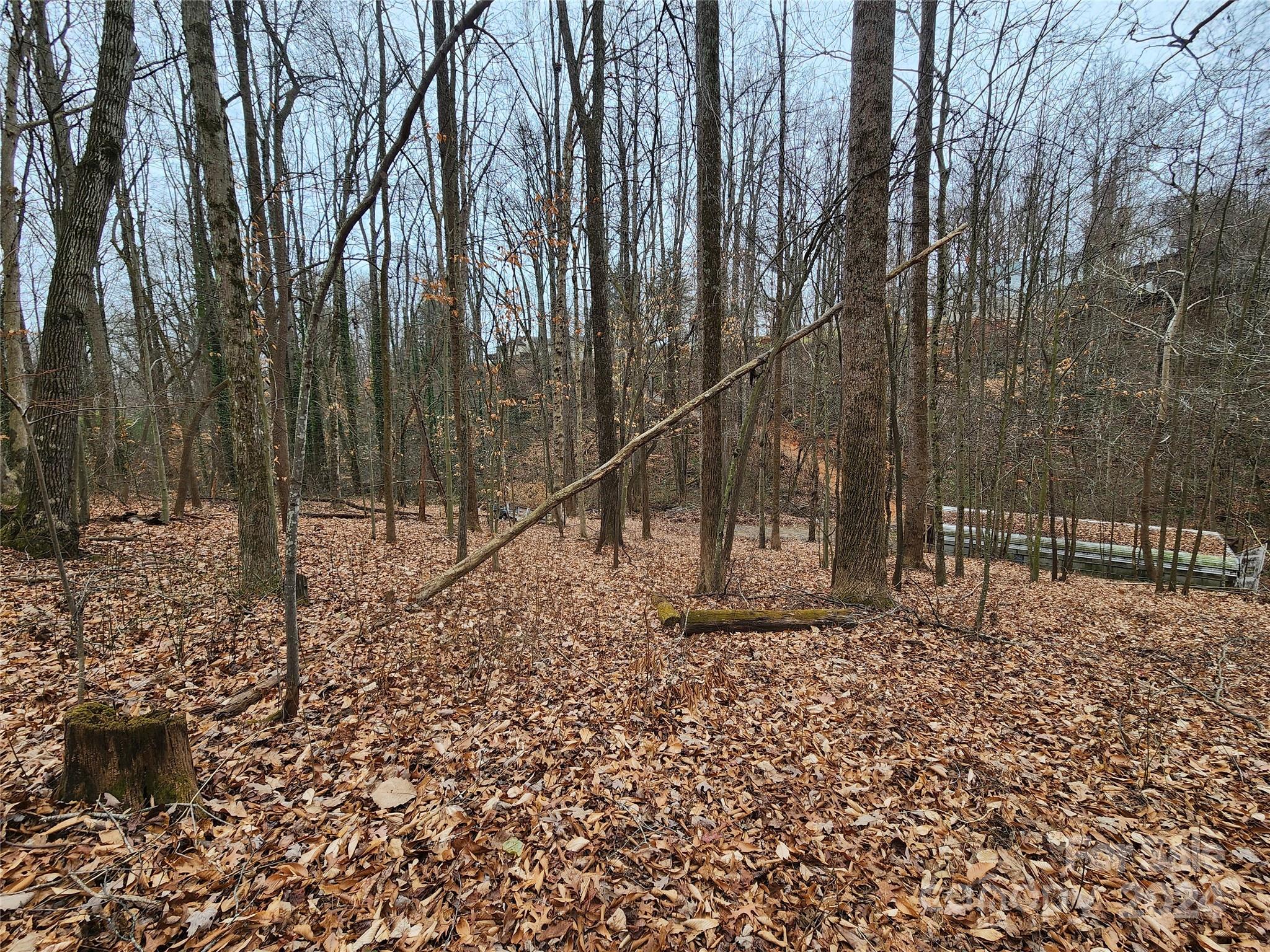 Tbd Grassy View Road Candler, NC 28715 - Photo 2 of 12 Gallery Image 2