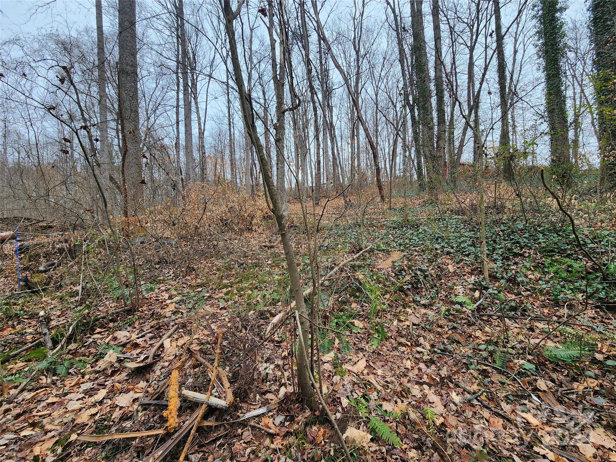 Tbd Grassy View Road Candler, NC 28715 - Photo 3 of 12 Gallery Image 3