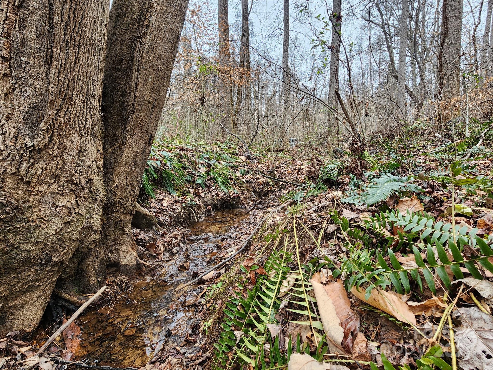 Tbd Grassy View Road Candler, NC 28715 - Photo 4 of 12 Gallery Image 4