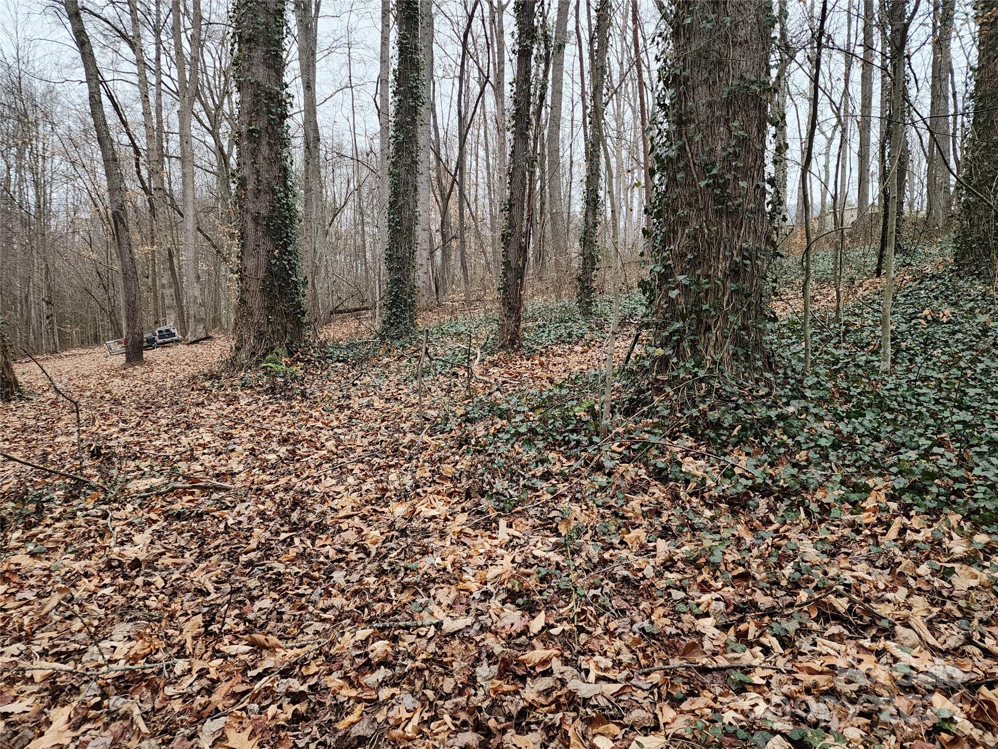 Tbd Grassy View Road Candler, NC 28715 - Photo 7 of 12 Gallery Image 7