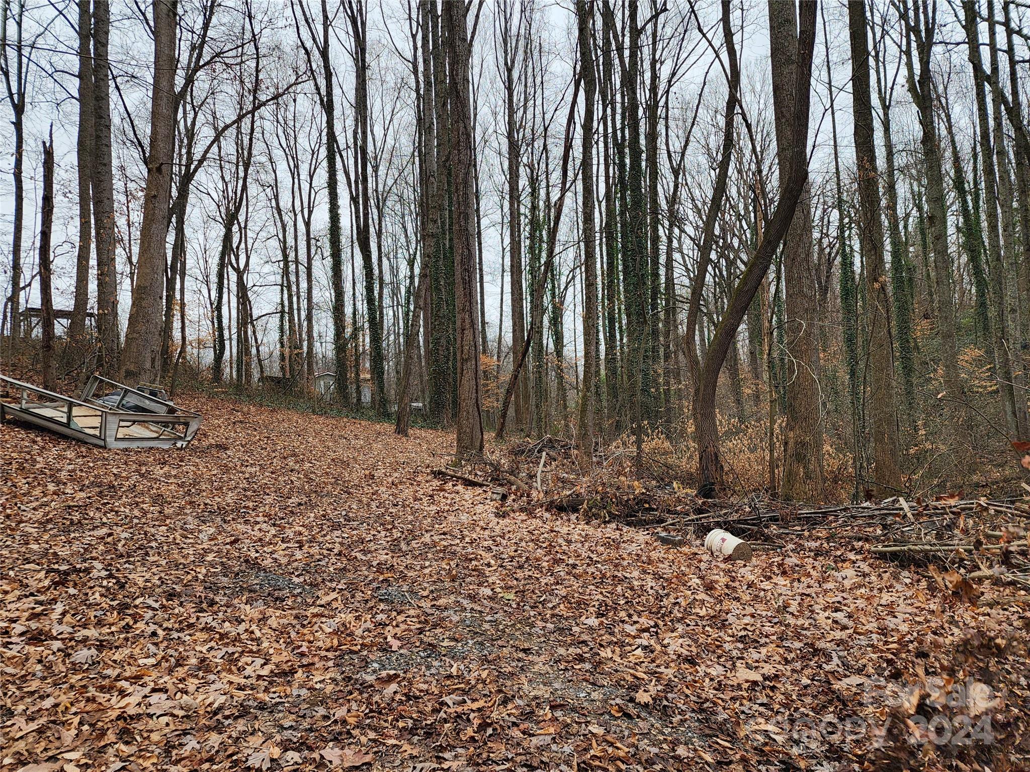 Tbd Grassy View Road Candler, NC 28715 - Photo 9 of 12 Gallery Image 9