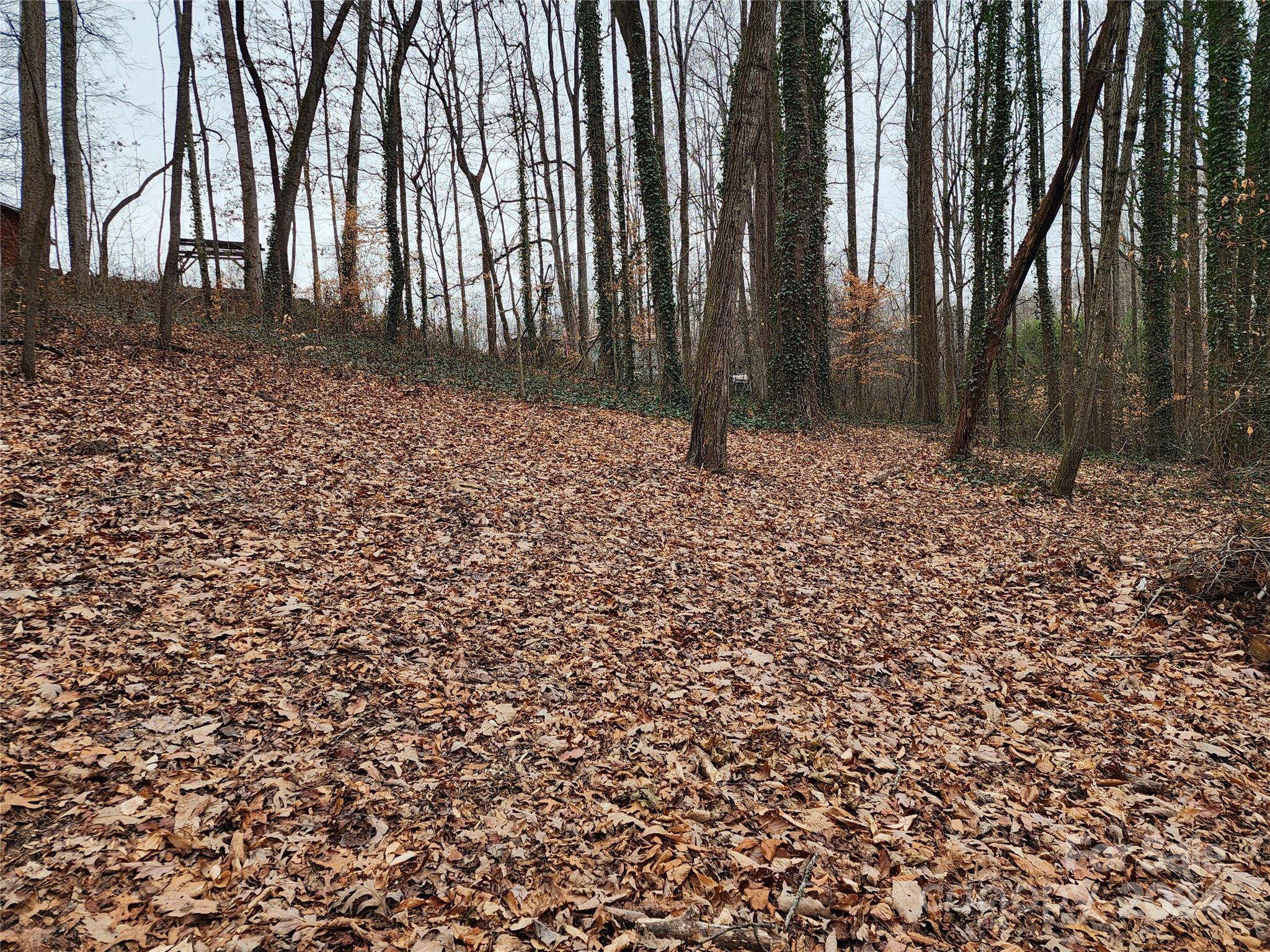 Tbd Grassy View Road Candler, NC 28715 - Photo 10 of 12 Gallery Image 10