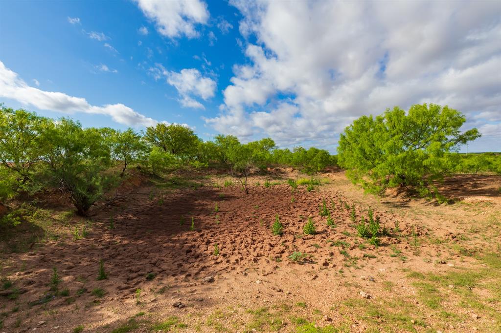 600 Fm 600 Haskell, TX 79521 - Photo 15 of 34 a view of a yard with plants and a trees