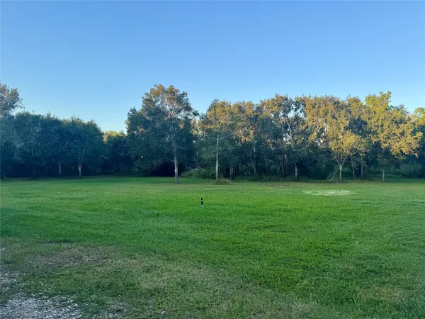 a view of a grassy field