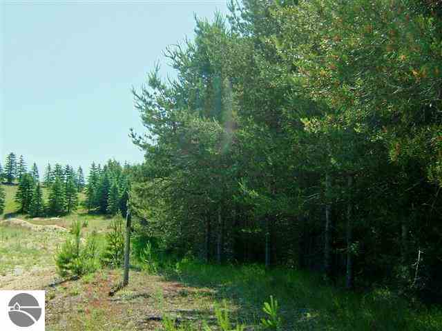 8689 Summit City Road Kingsley, MI 49649 - Photo 15 of 15 1748023-14.JPG