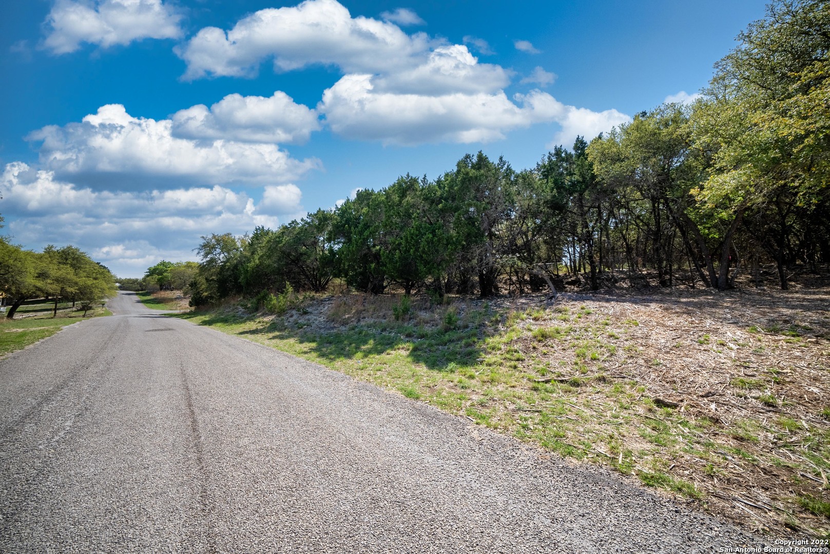1752 Trail Ridge Drive Canyon Lake, TX 78133 - Photo 5 of 20