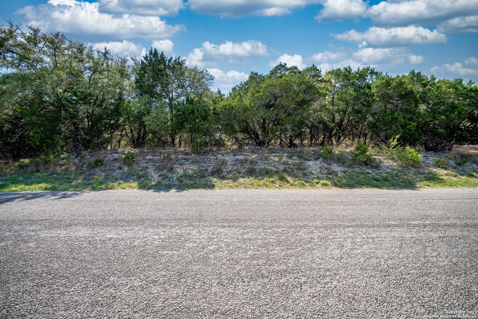 1752 Trail Ridge Drive Canyon Lake, TX 78133 - Photo 6 of 20 a view of a yard with a house
