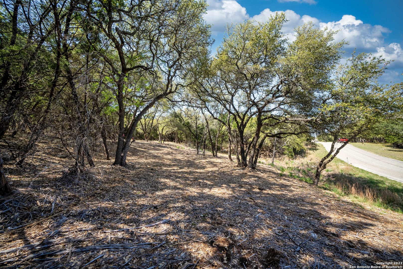 1752 Trail Ridge Drive Canyon Lake, TX 78133 - Photo 8 of 20 a view of road view with large trees