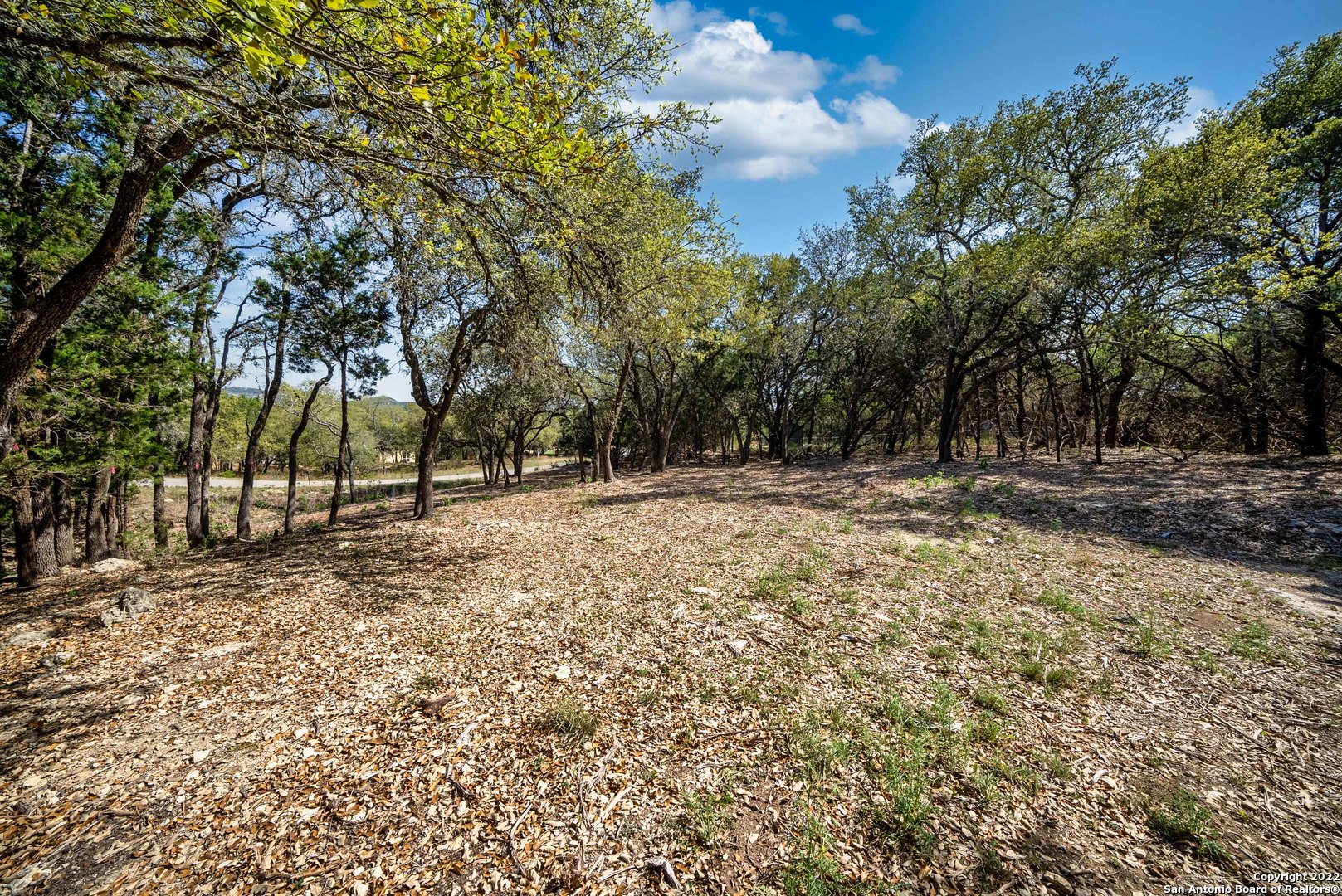 1752 Trail Ridge Drive Canyon Lake, TX 78133 - Photo 10 of 20 a backyard of a house with lots of green space