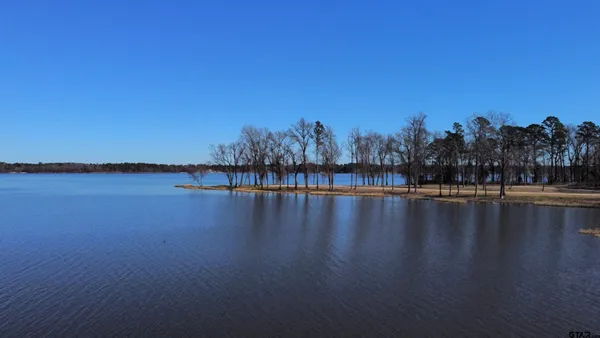 a view of a lake with trees in the background