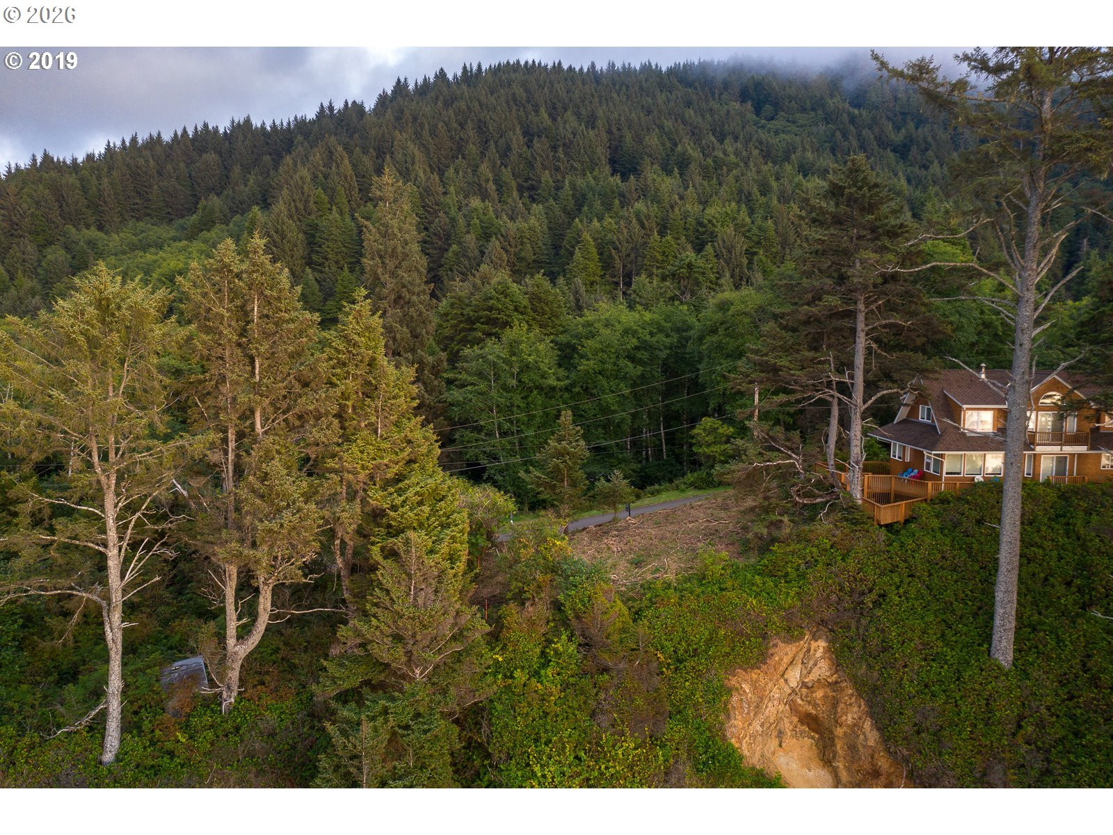 South Beach Road Neskowin, OR 97149 - Photo 9 of 12 a view of a yard with a tree