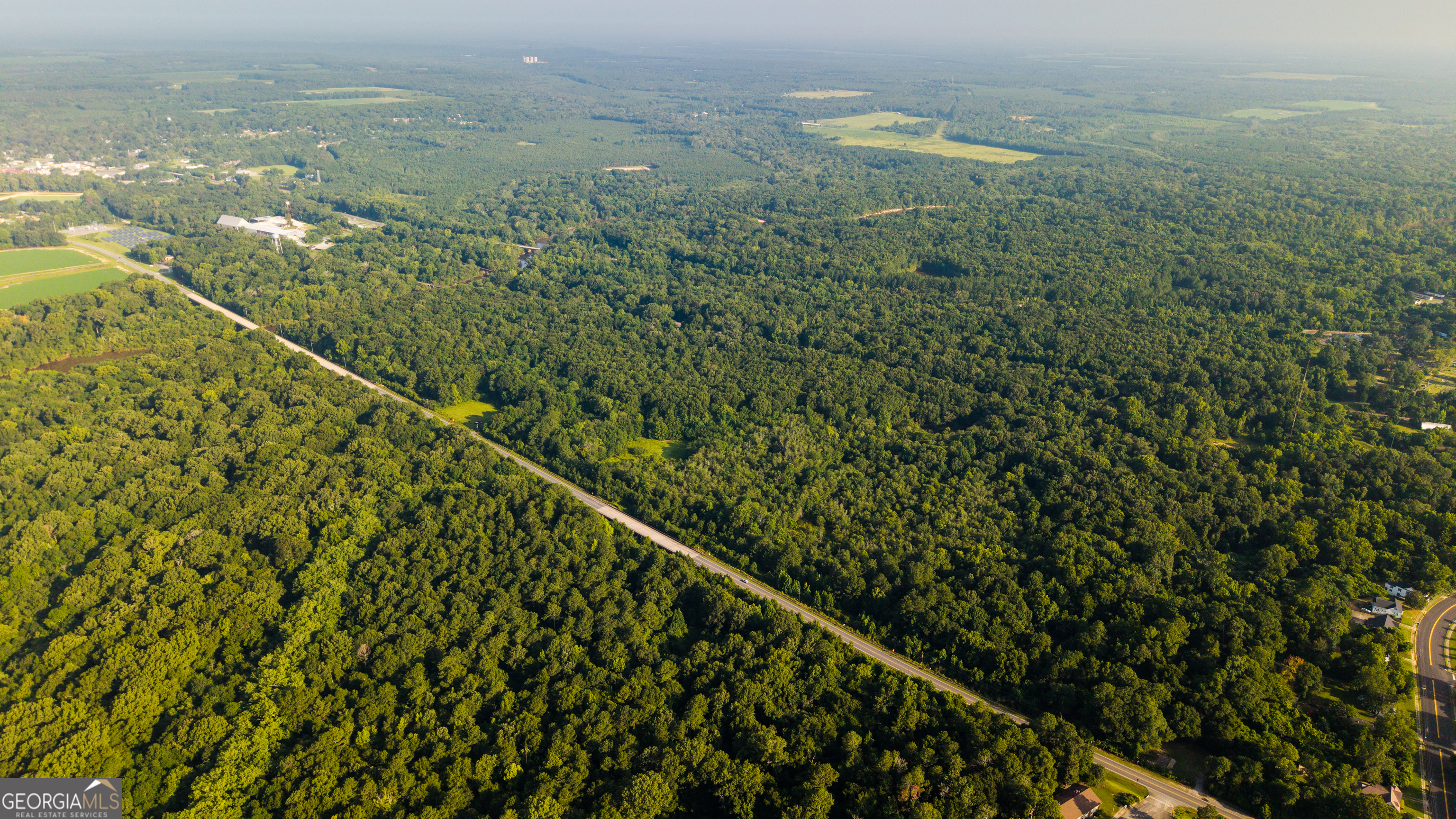 Tbd State Route 26 Road Montezuma, GA 31063 - Photo 4 of 52