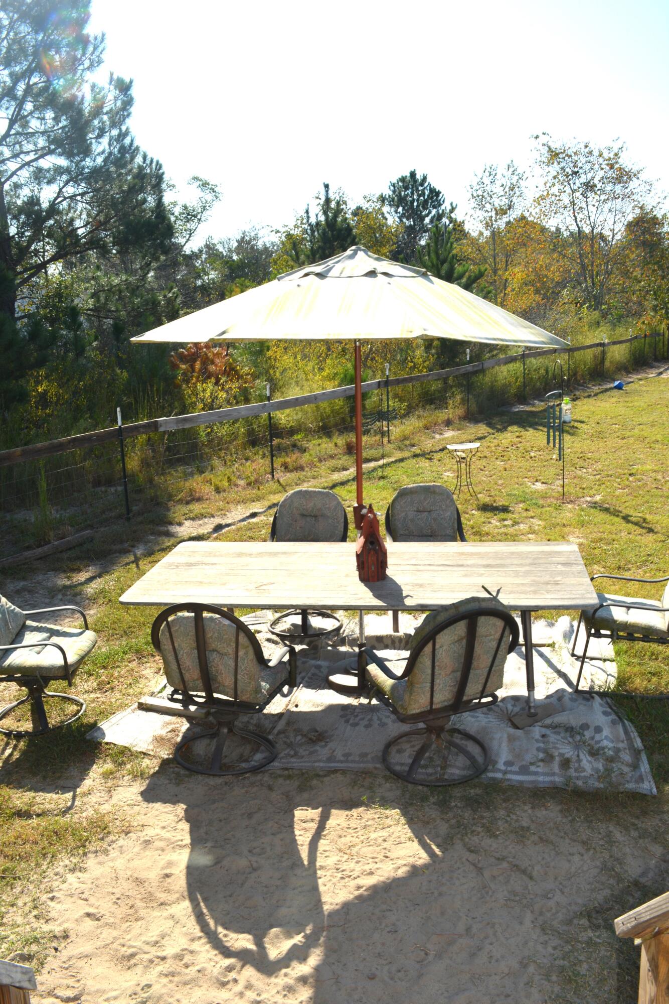 1508 Old Shoals Road Monetta, SC 29105 - Photo 44 of 63