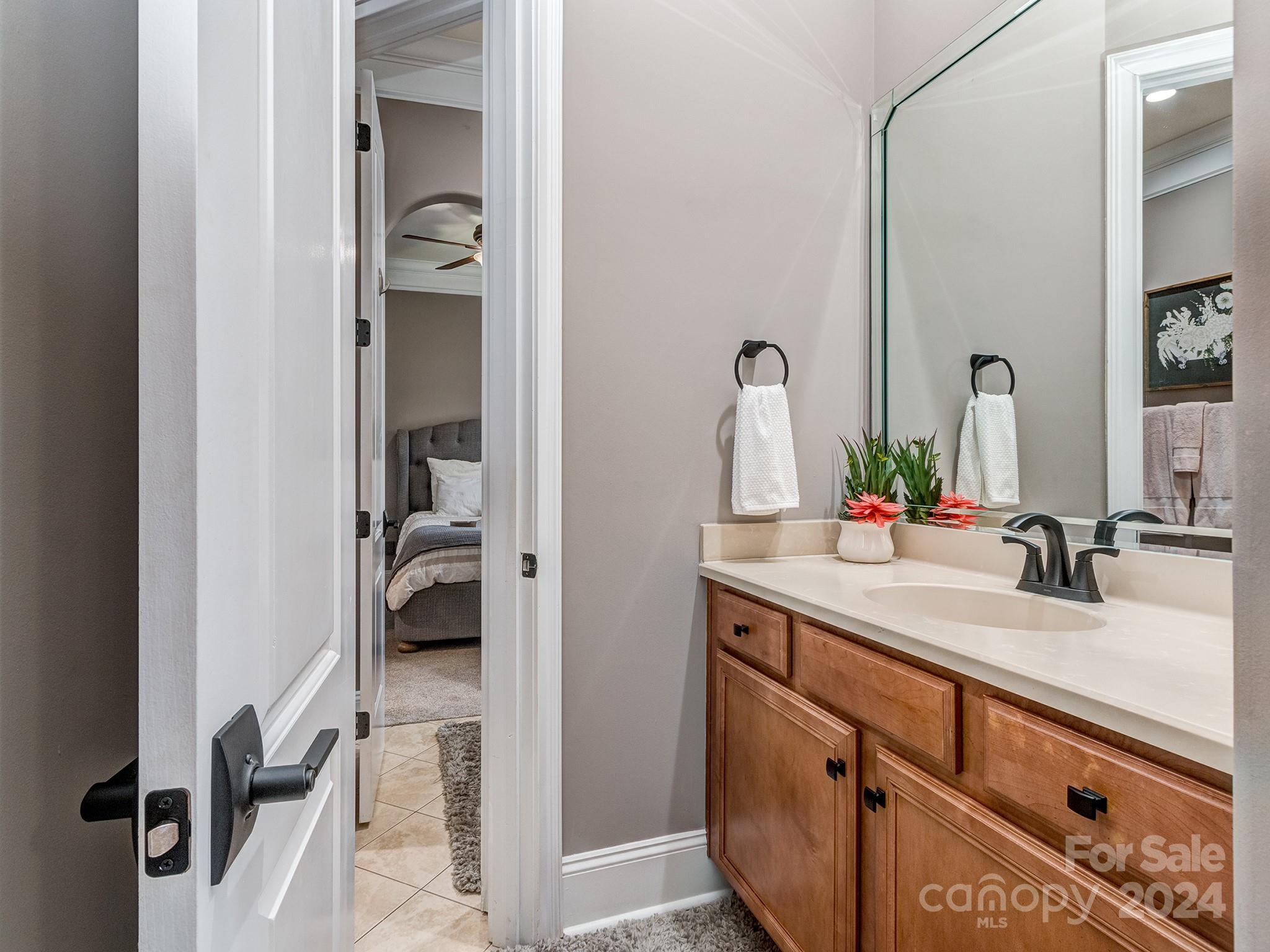 736 Cooks Cove Ridge Clover, SC 29710 - Photo 24 of 40 a en suite bathroom with a sink and a mirror