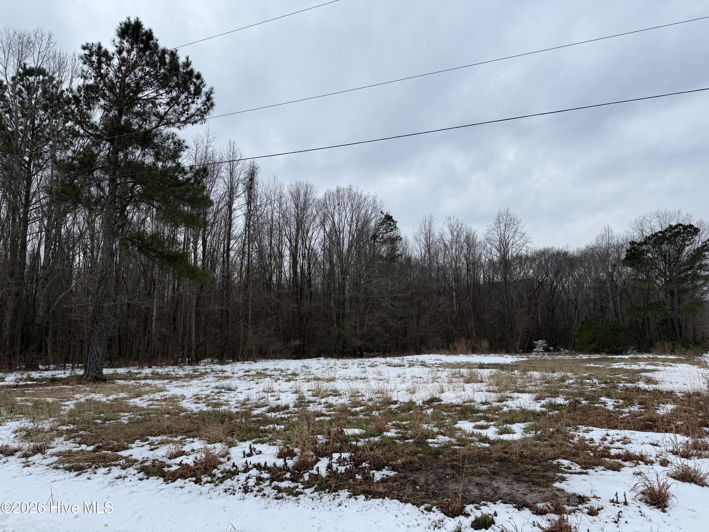 Lot 20 Beasley Road Roper, NC 27970 - Photo 2 of 2 IMG_7590