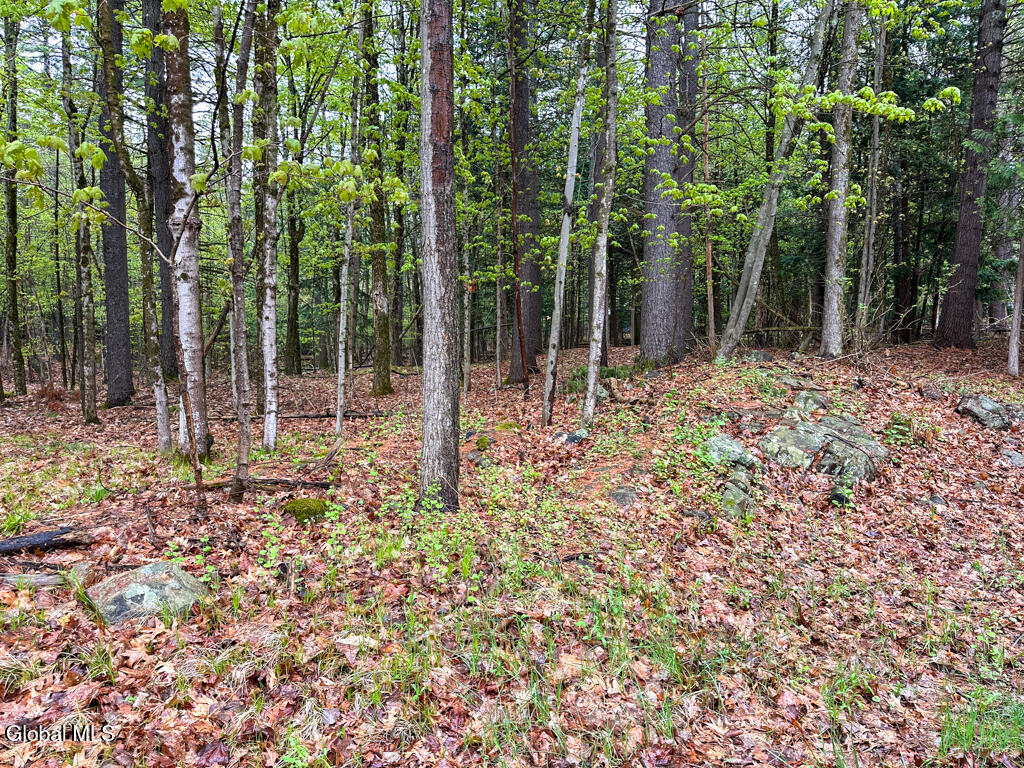 L59 Pilot Knob Road Kattskill Bay, NY 12844 - Photo 5 of 14 IMG_7271