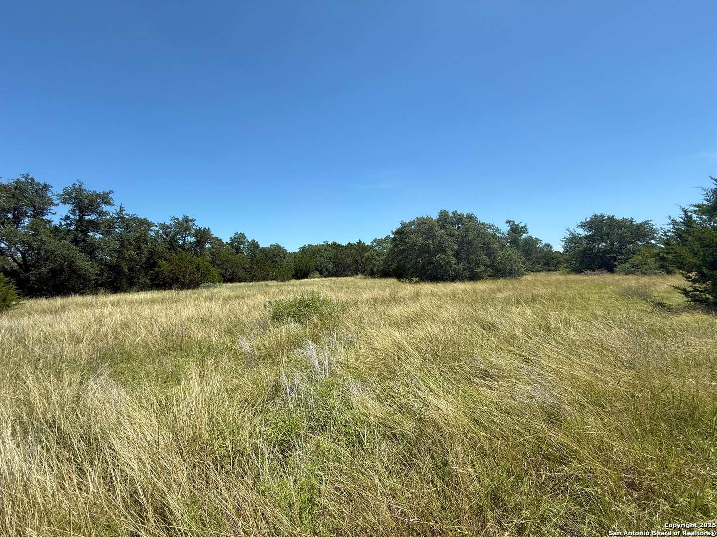 1448 Crabapple Road Blanco, TX 78606 - Photo 6 of 16 a view of yard with swimming pool and green space