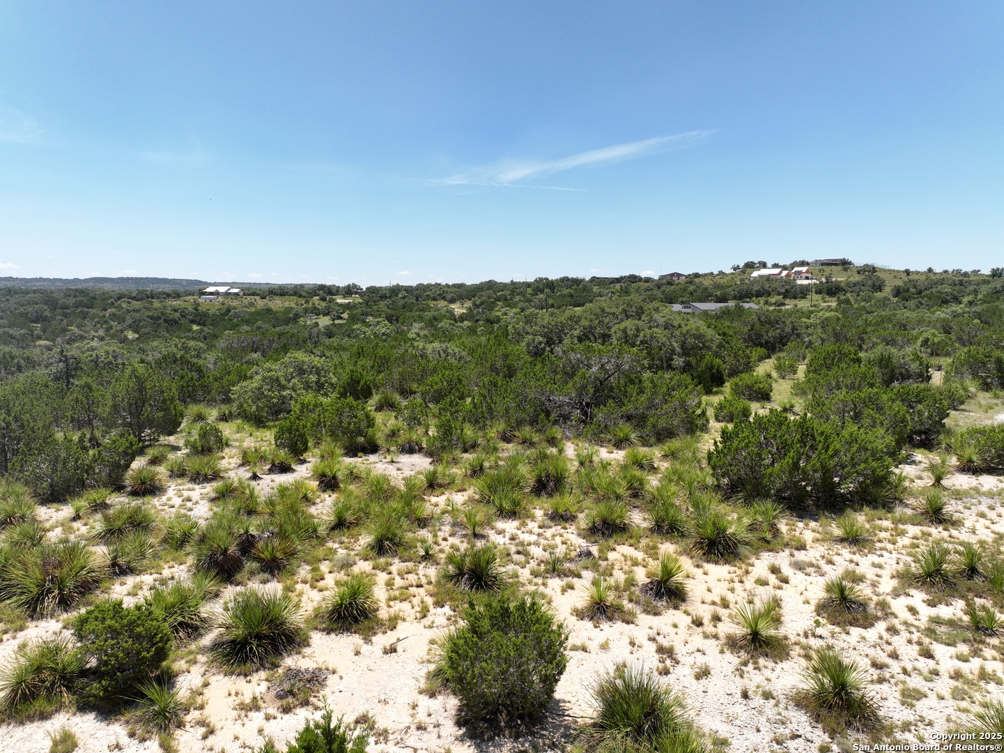 1448 Crabapple Road Blanco, TX 78606 - Photo 8 of 16 a view of a city