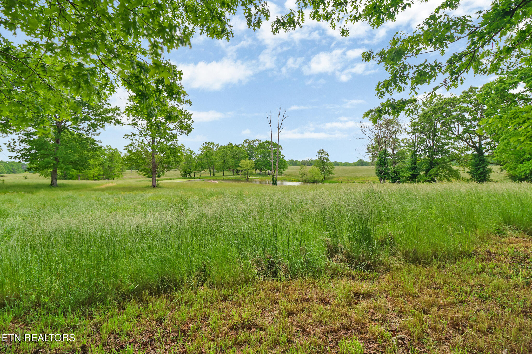 60 Greenview Lane Crossville, TN 38571 - Photo 6 of 37 if1a8151-if1a8155