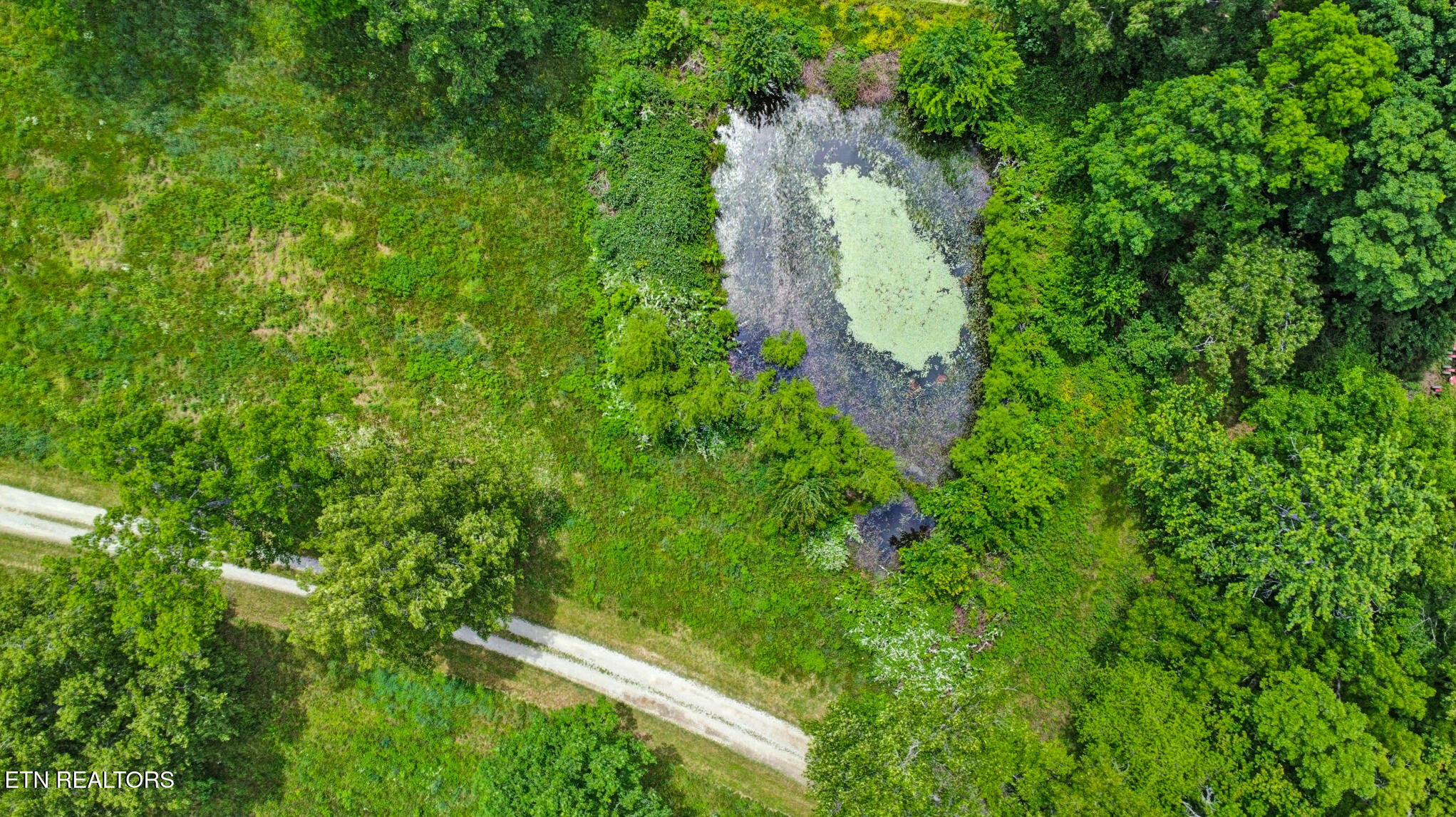 60 Greenview Lane Crossville, TN 38571 - Photo 8 of 37 dji_0434-dji_0436