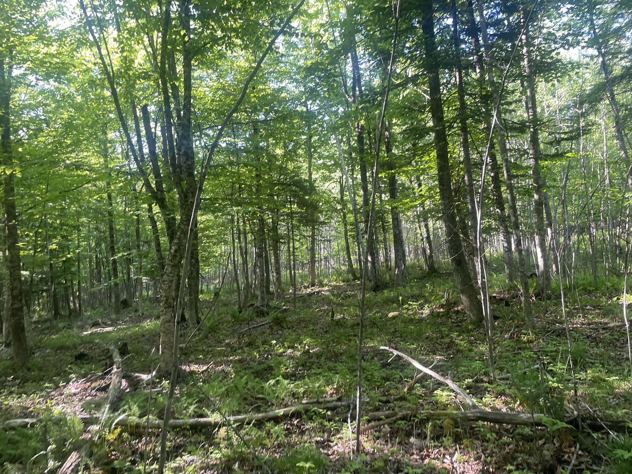 0 Macomber Road Readfield, ME 04355 - Photo 46 of 61 IMG_5681