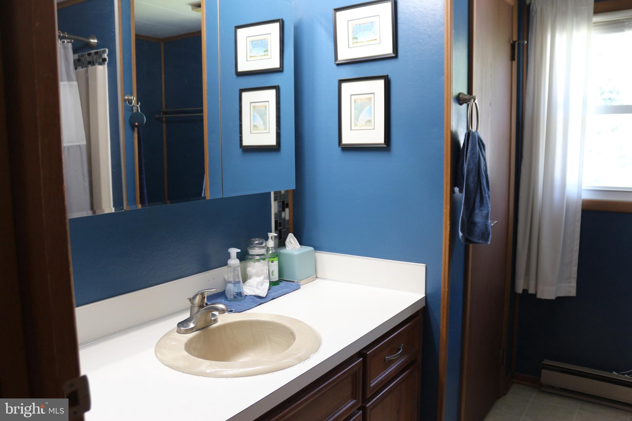 25230 Military Road Cascade, MD 21719 - Photo 8 of 14 Main level bathroom