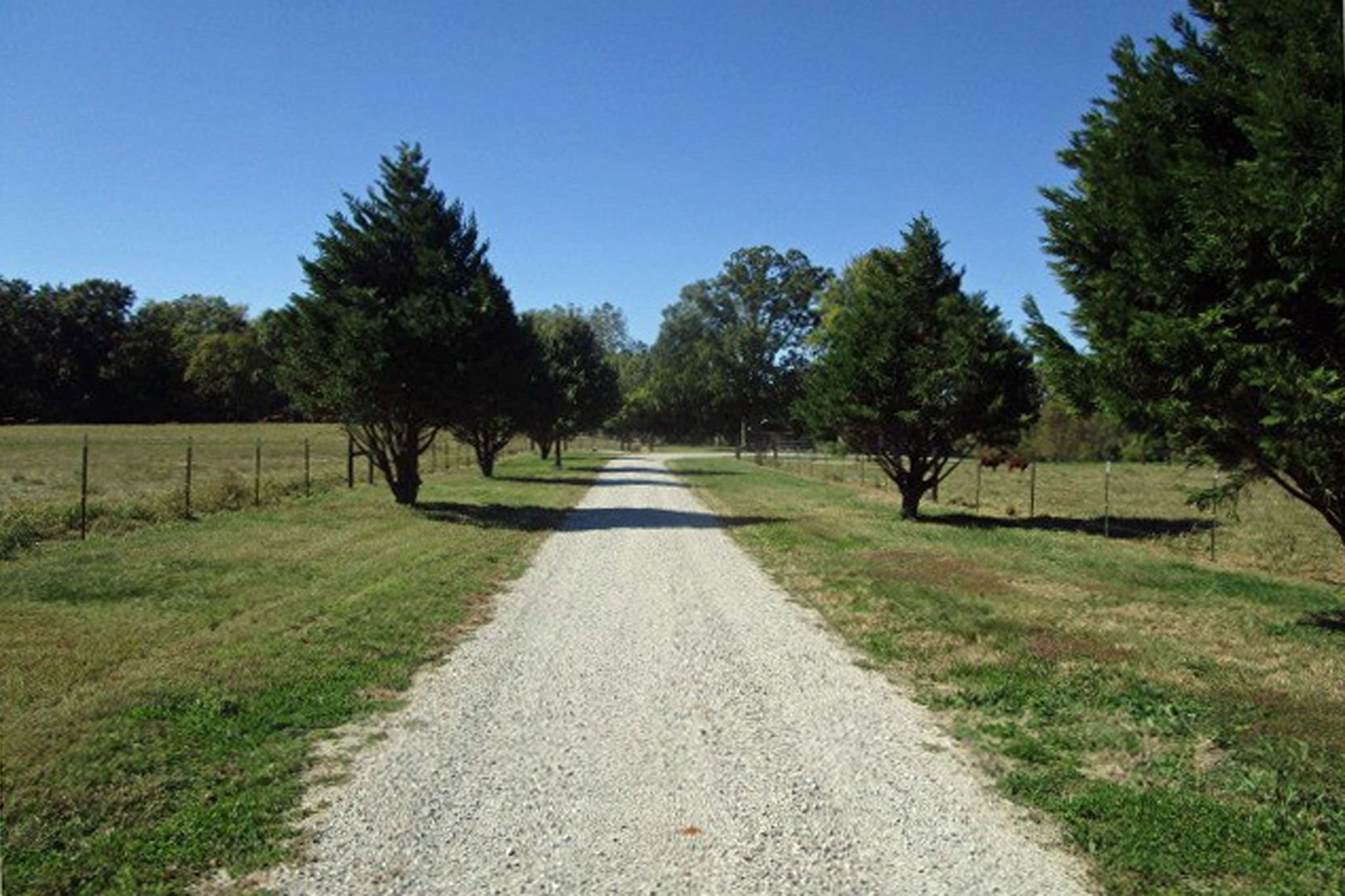 144 Mary Adams Road Franklin, KY 42134 - Photo 3 of 33 a view of park with tree