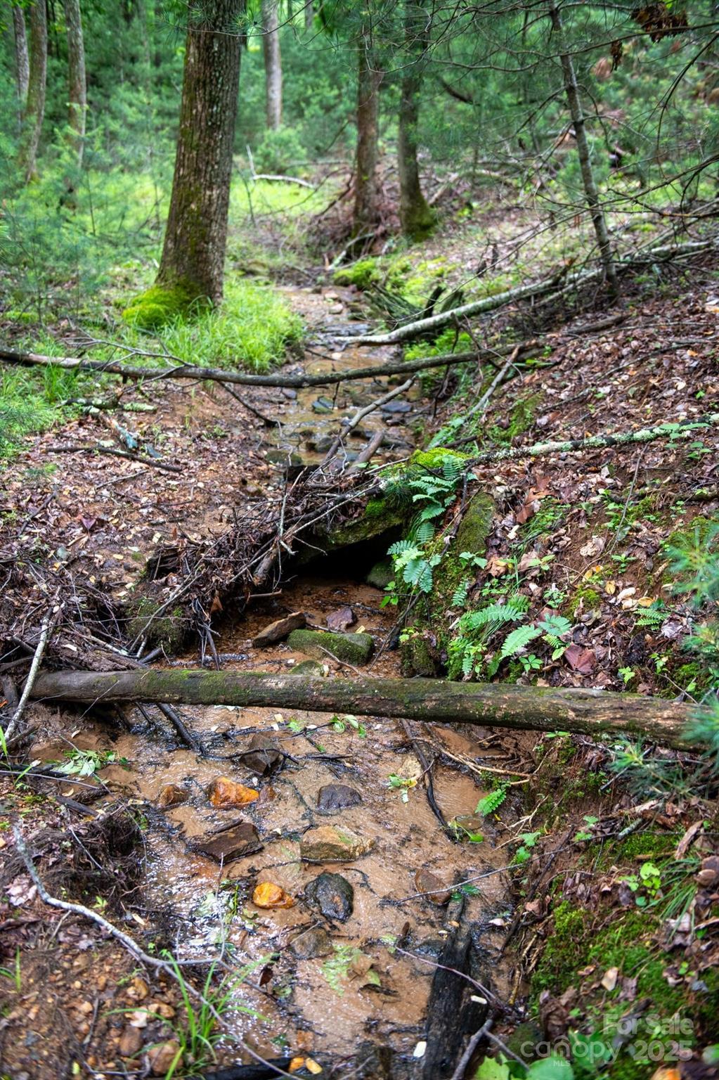 0 Wheel Team Trail, Unit 44 McGrady, NC 28649 - Photo 11 of 48 a backyard of a house with a yard and outdoor seating