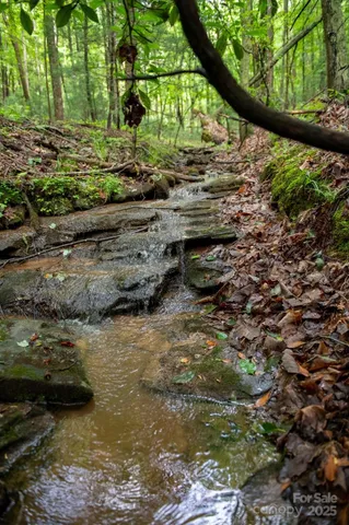 a view of a tree with a yard