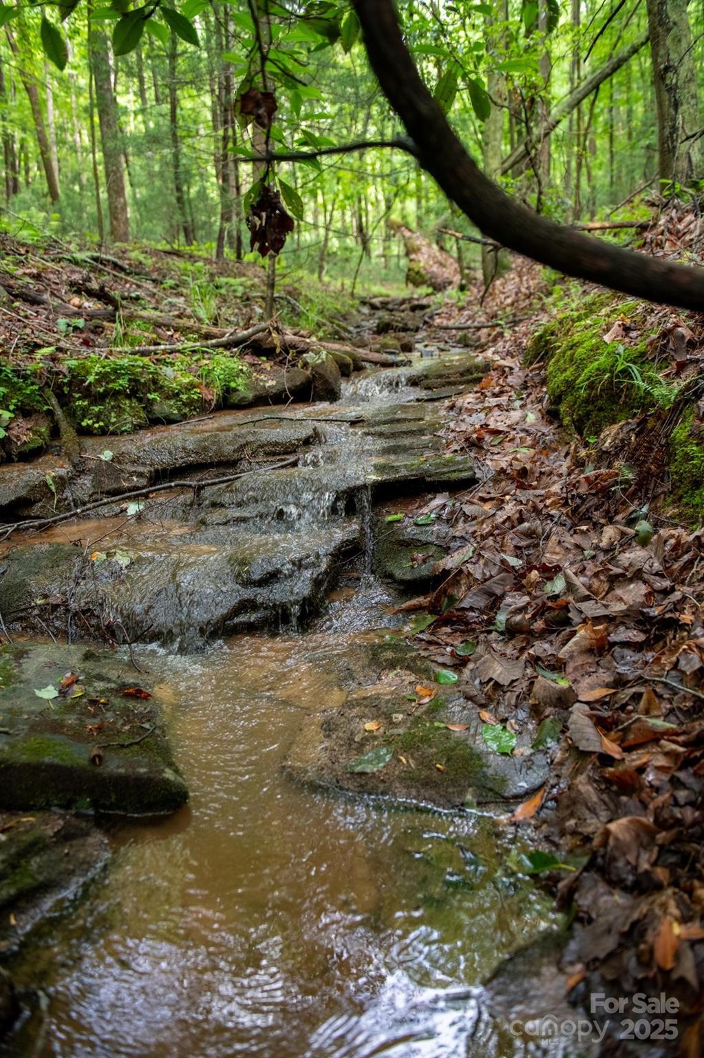 0 Wheel Team Trail, Unit 44 McGrady, NC 28649 - Photo 12 of 48 a view of a tree with a yard