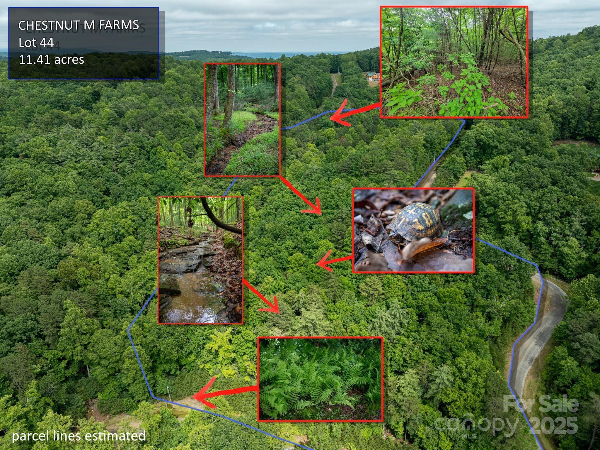 0 Wheel Team Trail, Unit 44 McGrady, NC 28649 - Photo 13 of 48 a view of a back yard of the house and green space