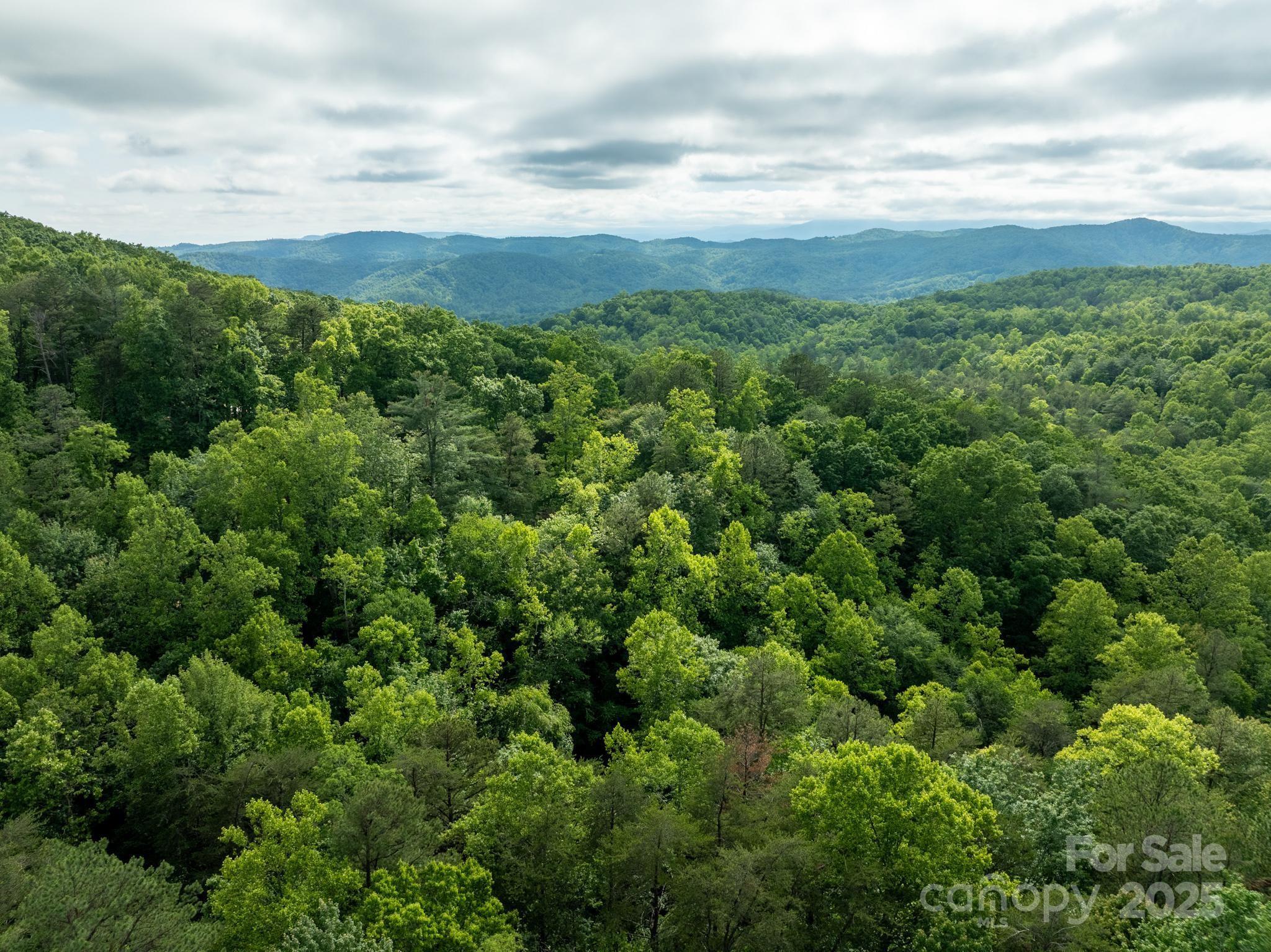 0 Wheel Team Trail, Unit 44 McGrady, NC 28649 - Photo 16 of 48 an aerial view of residential houses with outdoor space and trees
