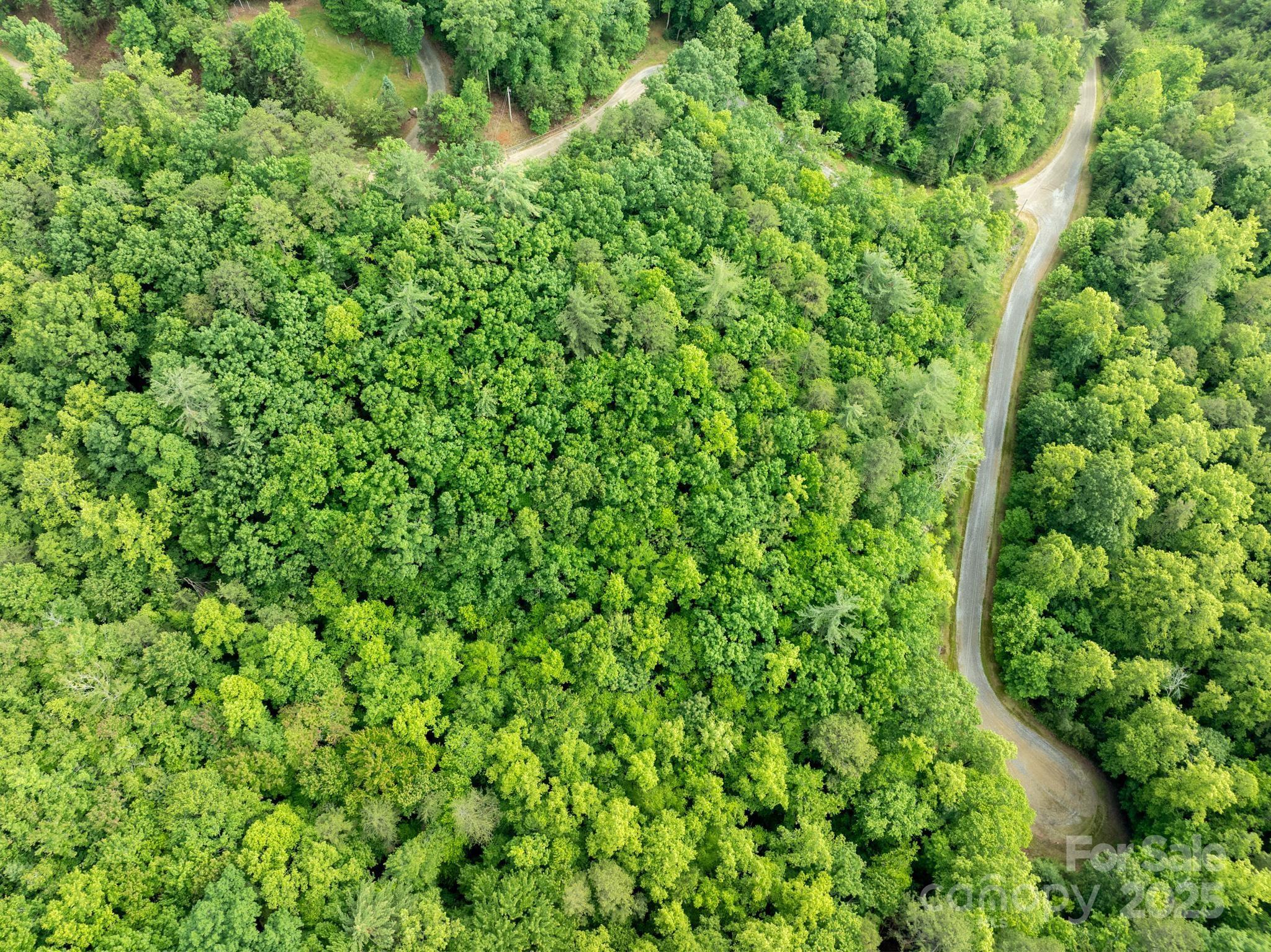 0 Wheel Team Trail, Unit 44 McGrady, NC 28649 - Photo 21 of 48 a view of a lush green forest