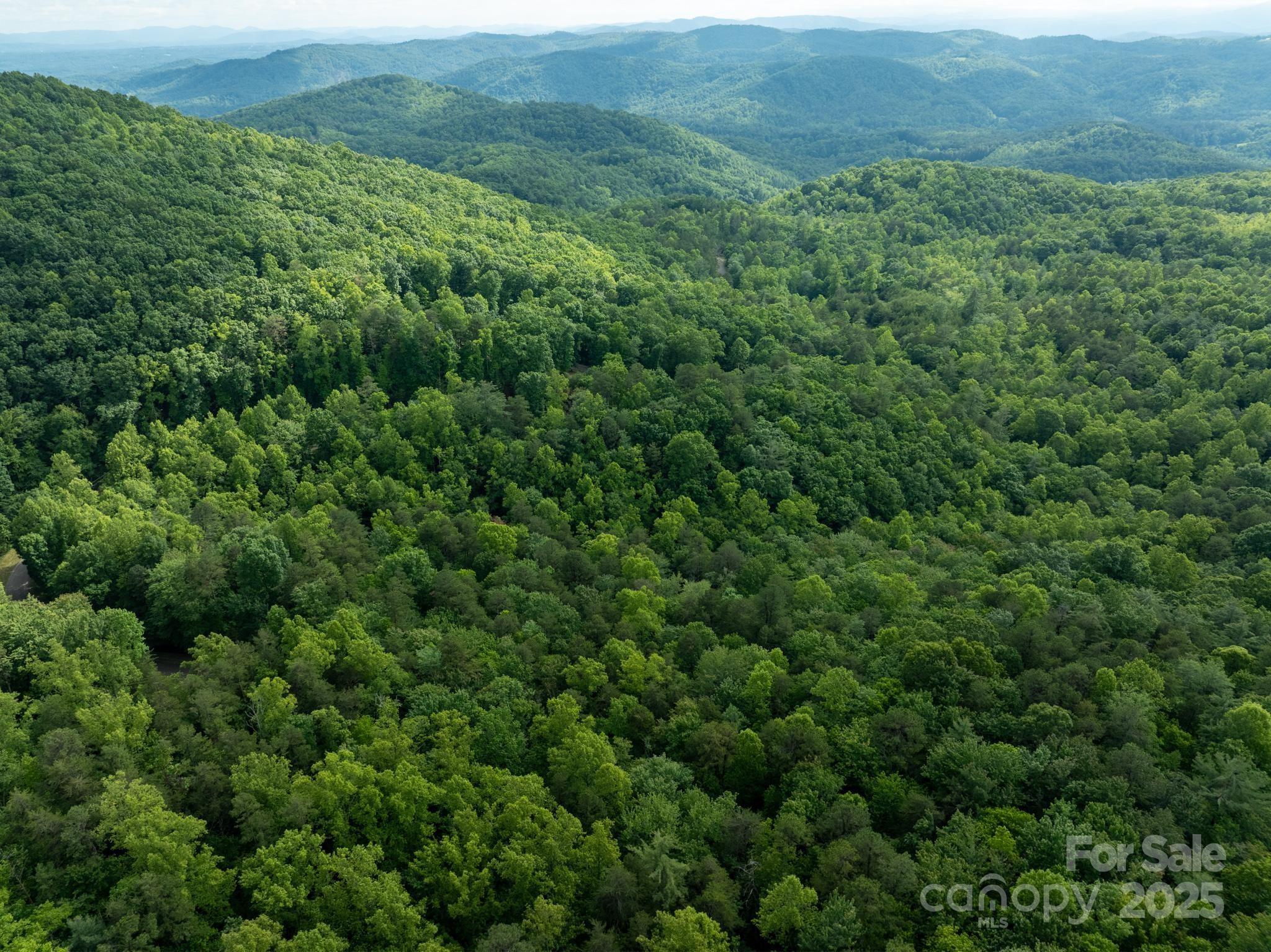 0 Wheel Team Trail, Unit 44 McGrady, NC 28649 - Photo 22 of 48 a view of a lush green forest with lush green forest
