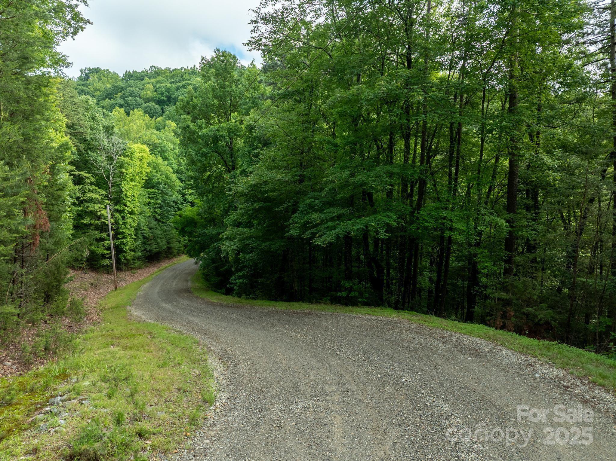 0 Wheel Team Trail, Unit 44 McGrady, NC 28649 - Photo 23 of 48 a view of a backyard
